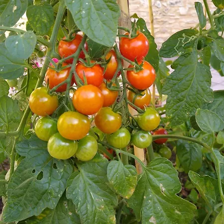 Relais Des 3 Ponts 民宿 Codolet